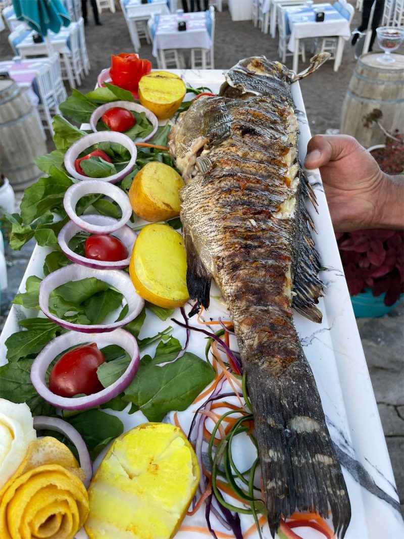 Aydınlatma Metni